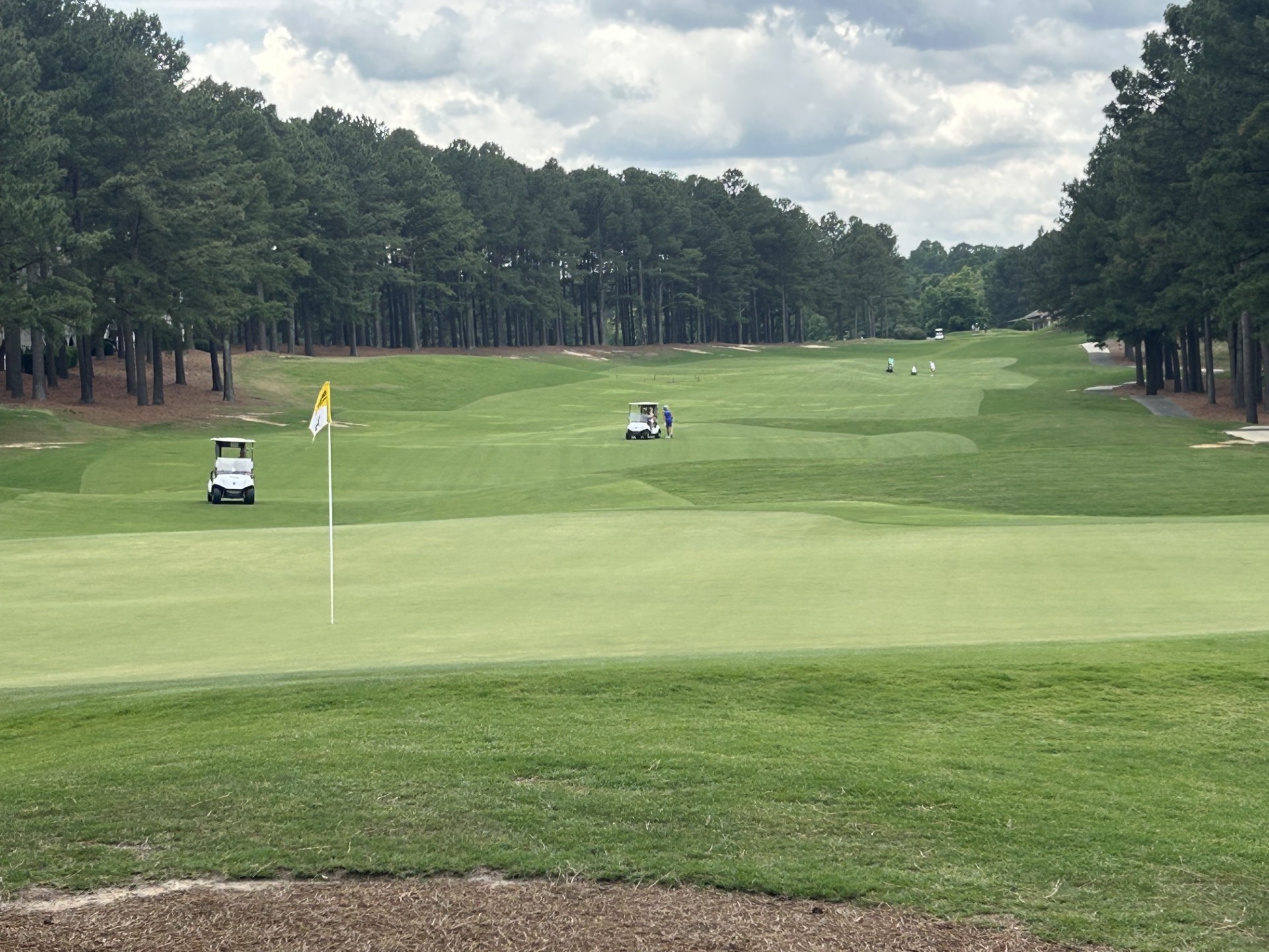 Golf course green and fairway lined with pine trees at Heritage