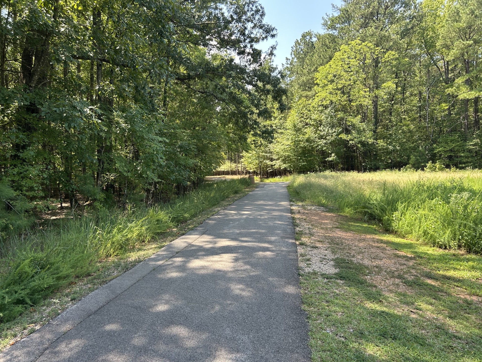 Paved walking trail winding through trees in Hasentree
