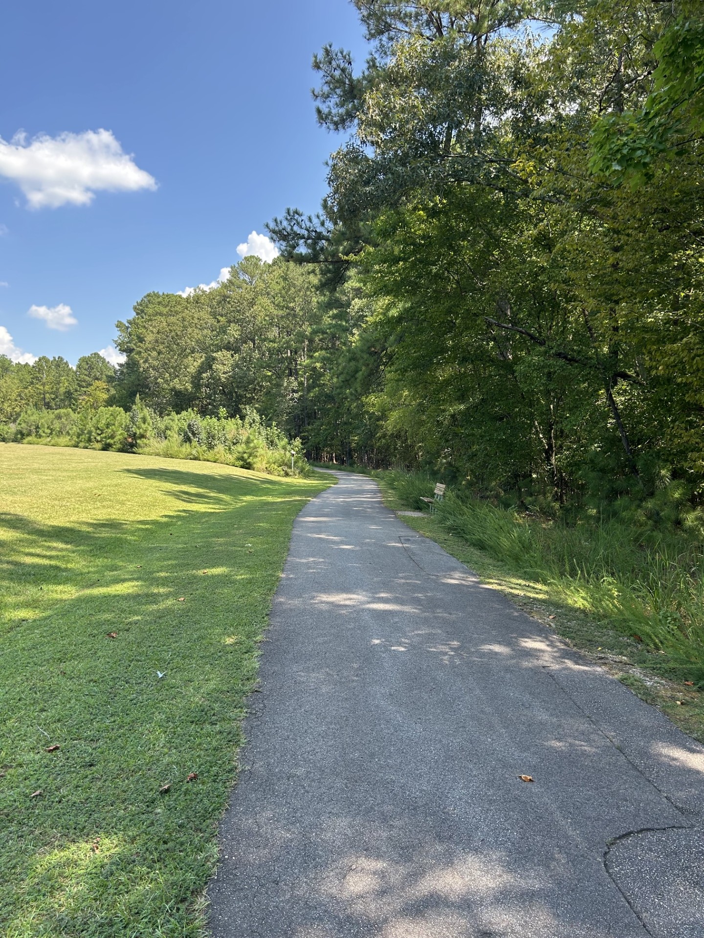 Paved walking trail curving through a sunny park near Bedford and Falls River